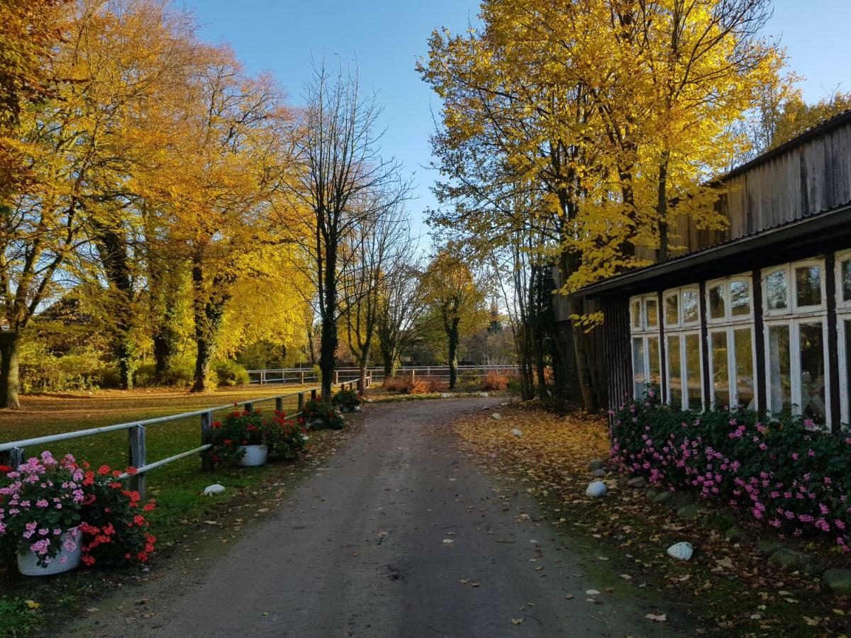 Grosse, Helle Ferienwohnung Mit 2 Balkonen Auf Dem Bauernhof In Der Lueneburger Heide Oetzen Ngoại thất bức ảnh