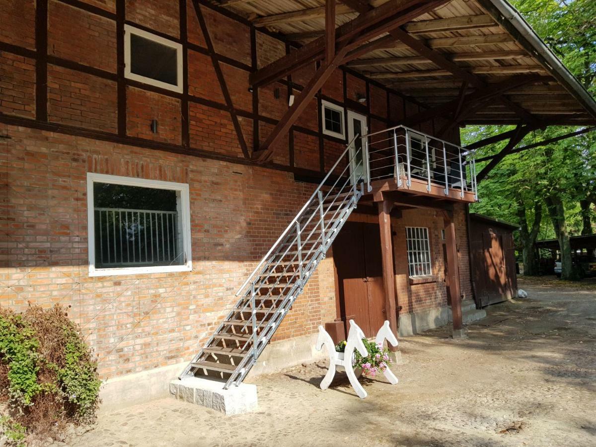 Grosse, Helle Ferienwohnung Mit 2 Balkonen Auf Dem Bauernhof In Der Lueneburger Heide Oetzen Ngoại thất bức ảnh